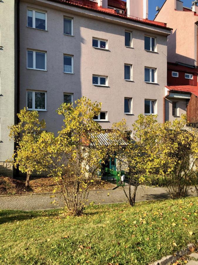 Apartament Dzika Paproc Szczawnica Eksteriør billede